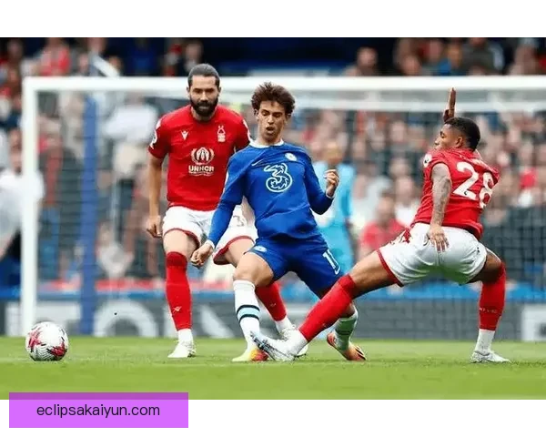 费内巴切本赛季表现稳健，竞争力持续提升